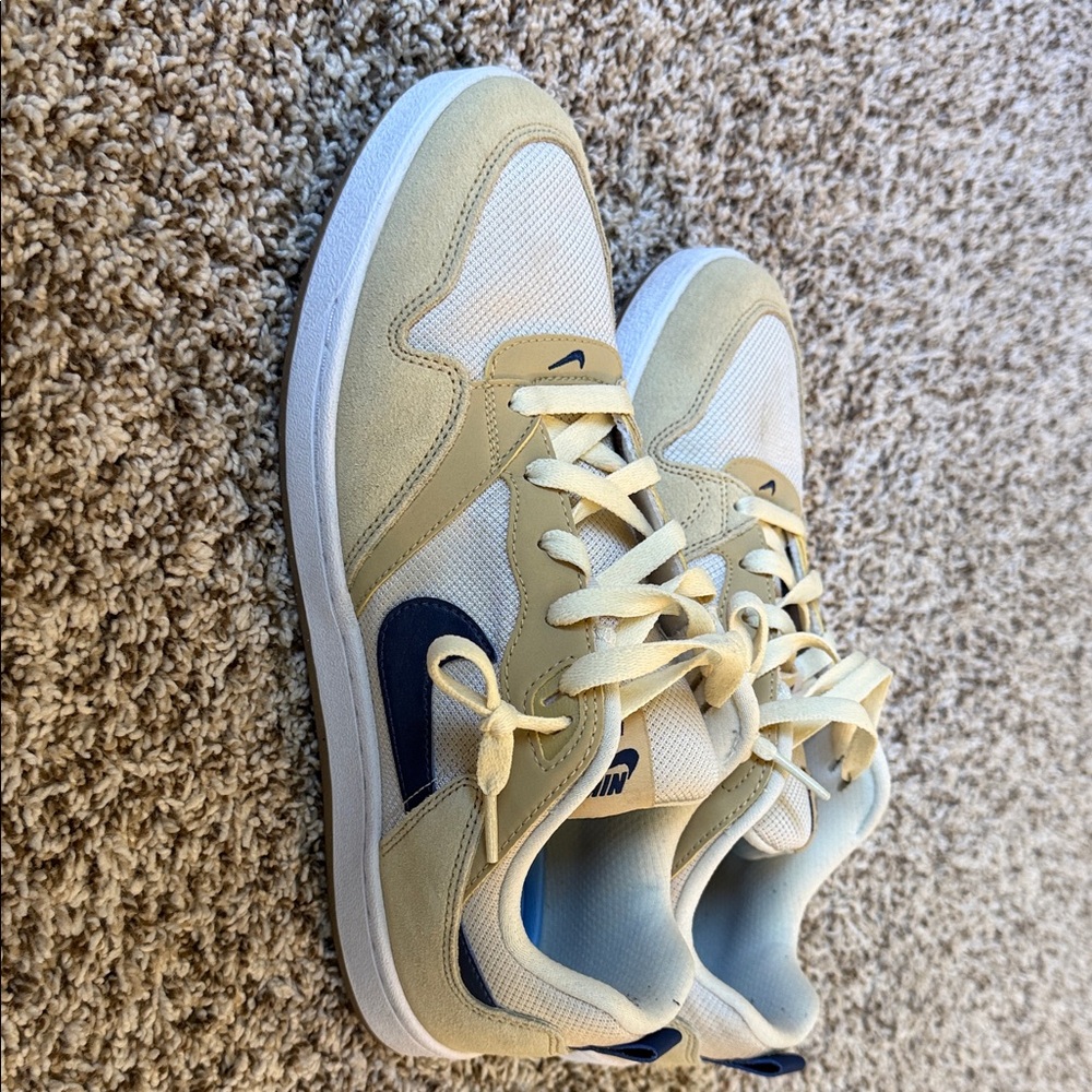 Nike SB Alleyoop.